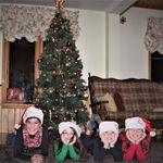 Laura Houle - @houle7998 - Instagram