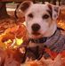 Laura Houle - Facebook