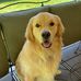 Laura Huckaby Elliott Johns - Facebook