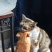 Lori Hunsaker - Facebook