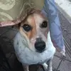 lori - @laurahuling1 - TikTok