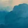 laurahurt2 - @laurahurt2 - TikTok
