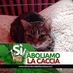 Laura Iannuzzi - Facebook