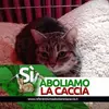 lauraiannuzzi50 - @lauraiannuzzi50 - TikTok