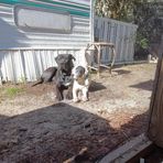 Lori Iannuzzi - Facebook