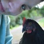 Laura Dawson - @laura_chicken - Instagram