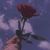 Laura Jacinto - Facebook