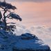 Laura Jack - Facebook