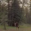 Laurajacobo10 - @laurajacobo06 - TikTok