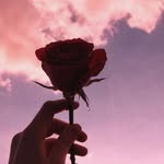 Laura - @laura_joline09 - Instagram