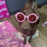 Laura Kalman - @kalman.laura_jazz - Instagram