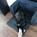 Laura Kalman - Facebook