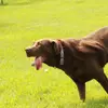 Laura Kalman - @laura.kalman6 - TikTok