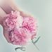 Laura Kang - Facebook