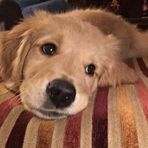 Laura Keesler - Facebook