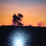 laura_keizer11 - @laura_keizer11 - Instagram