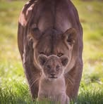 Laura Keizer - Facebook