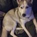 LeRoy Keller - Facebook