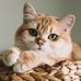 Laura Kernan - Facebook