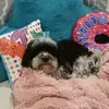 laurakernanhurst - @laurakernanhurst - TikTok