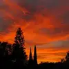 lauramckernan949 - @lauramckernan949 - TikTok