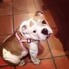 laurakileykeating - @laurakileykeating - TikTok