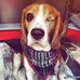 Laura Killinger - Facebook