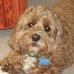 Laura Killinger Whistler - Facebook