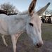 Laura Kimbrough Anderson - Facebook