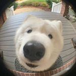 @laurakindler.life - Instagram