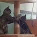 Laura Klappert - Facebook