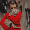 lauraklinke_art - @laurasniemandsland - TikTok