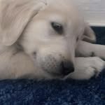 Lauraklitzke - @laura_sunny_ - Instagram
