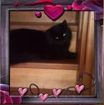 Laura Knab - Facebook