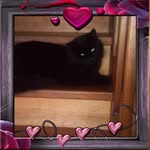 Laura Knab - @zbizbizbi596 - Instagram