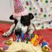 Laura Knapton - Facebook