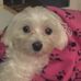Laurie Kempton - Facebook