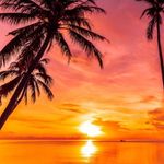 Laura Knecht - @laura.knecht.7777 - Instagram