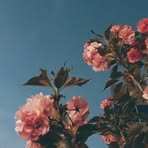 Laura Könz - Facebook