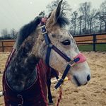 Laura.koopmann - @laura.koopm - Instagram
