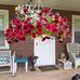 Laura Koopman - Facebook