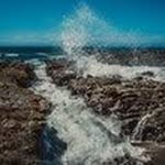 Laura kopf - @kopf146 - Instagram