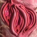 Selma Laura Köran existiert nur in deinem Kopf - @bauchfrei69 - Instagram
