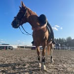 Laura - @laurakoppotikoppoti - Instagram