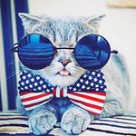 Laura M Chagnon-Kovach - @thetiredmomx3 - Instagram