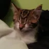 laurakralyic - @laurakralyic - TikTok