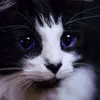 LauraMlejnkova - @krupkalaura - TikTok