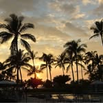 Laura Kuffler - @kufflerlaura - Instagram