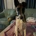Laura Làbàn - Facebook