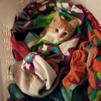 Laura Lalone - Facebook